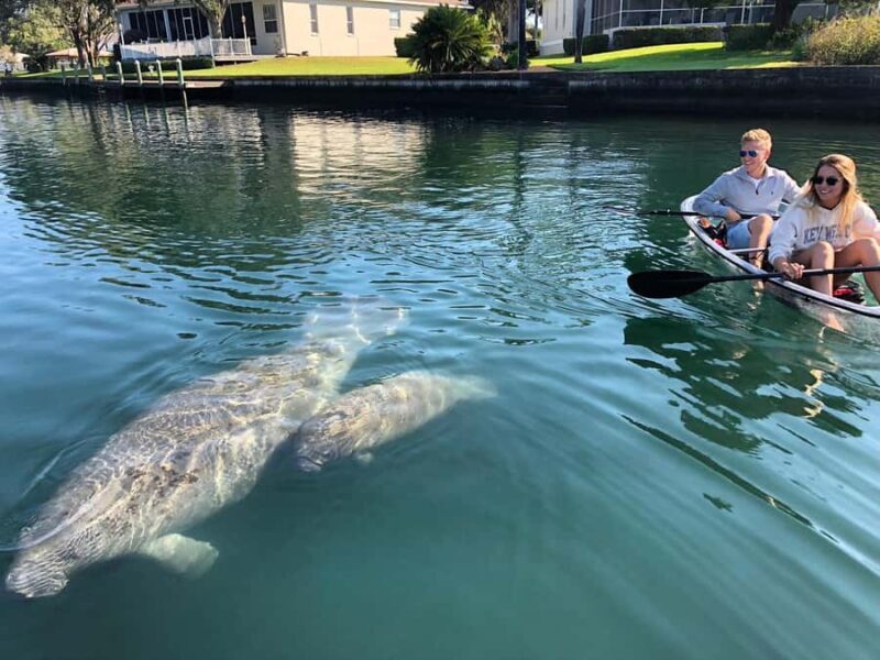Crystal River: Clear Kayak Manatee & Springs Tour - FAQs