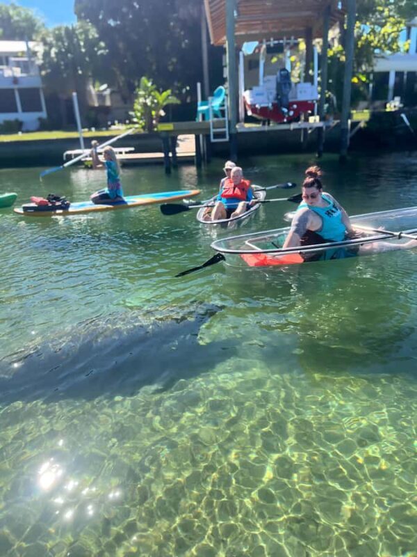 Crystal River: Clear Kayak Manatee Tour w/Free Photo Package - Practical Tips for Your Visit