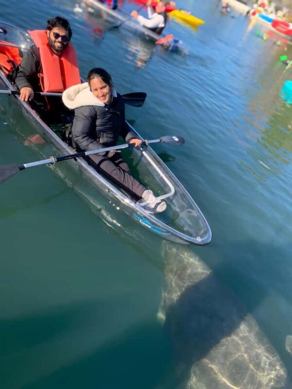Crystal River: Clear Kayak Manatee Tour w/Free Photo Package - The Sum Up