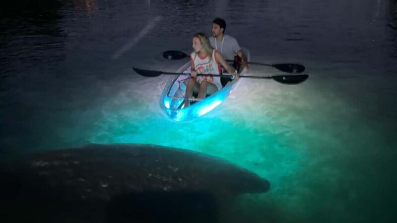 Crystal River: Clear Kayak Sunset & Night Glow Tour - A Closer Look at the Experience