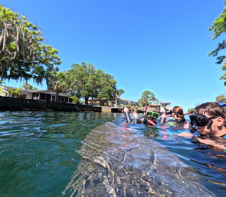 Crystal River: Guided Manatee Snorkeling Tour - Who This Tour Is Perfect For