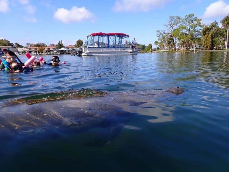 Crystal River: Guided Manatee Tour Heated Boat Free Photos - Key Points