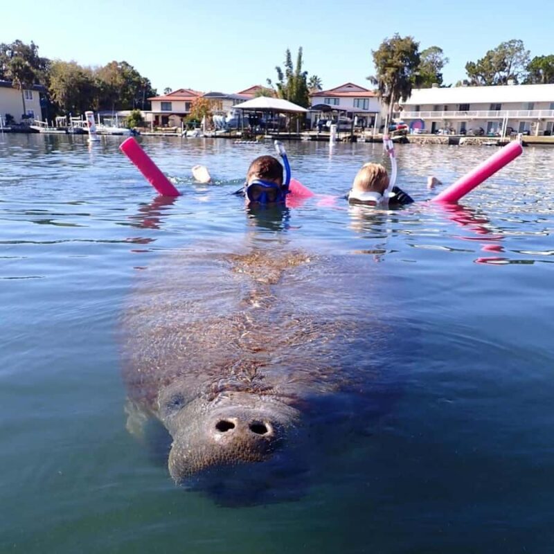 Crystal River: Guided Manatee Tour Heated Boat Free Photos - Who Will Love This Tour?