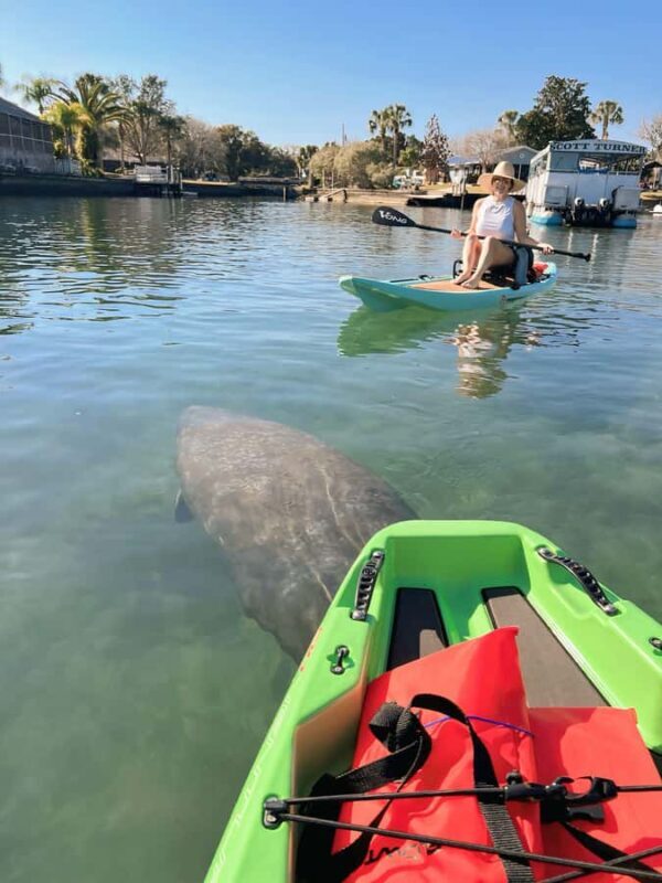 Crystal River: Kayak, Paddleboard, or Tandem Rental - Key Points