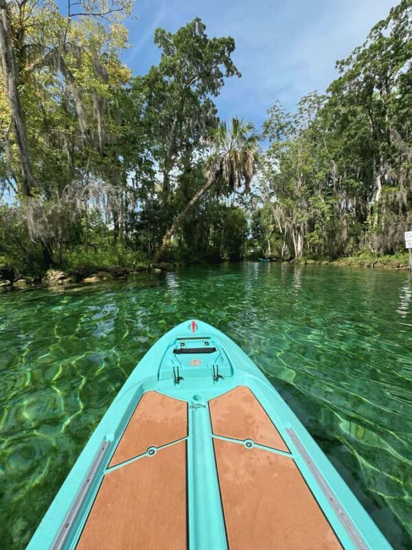 Crystal River: Kayak, Paddleboard, or Tandem Rental - The Wildlife and Natural Beauty