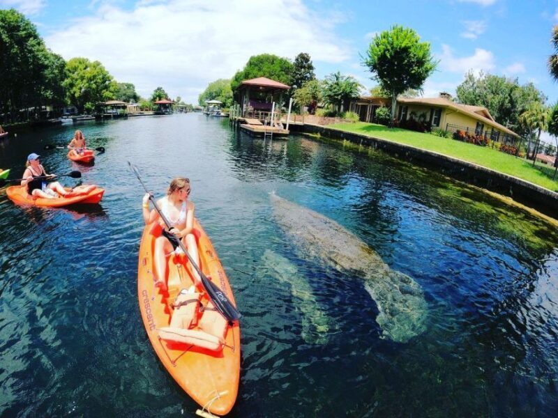 Crystal River: Kayak Rental - Key Points
