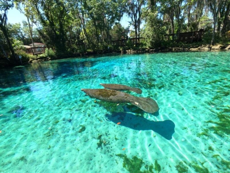 Crystal River: Kayak Rental - The Practicalities: Equipment, Price, and Timing