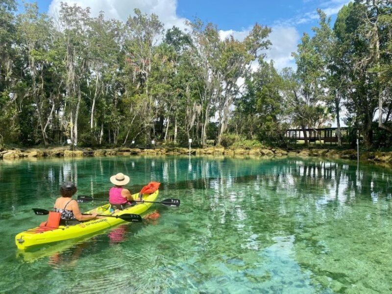Crystal River: Kayak Rental - Who Should Consider This Kayak Rental?