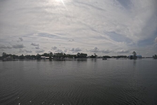 Crystal River: Kings Bay Eco/Sunset Tour - The Experience: What to Expect from the Kings Bay Eco/Sunset Tour