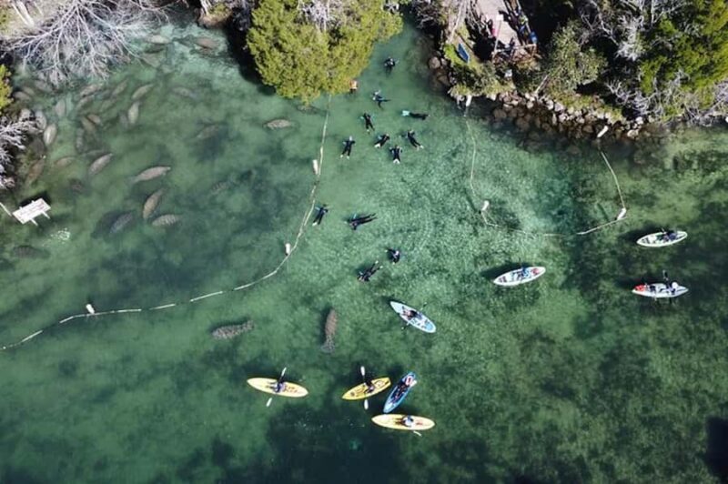 Crystal River: Kings Bay Manatee Watching Cruise - The Sum Up: Why This Experience Matters