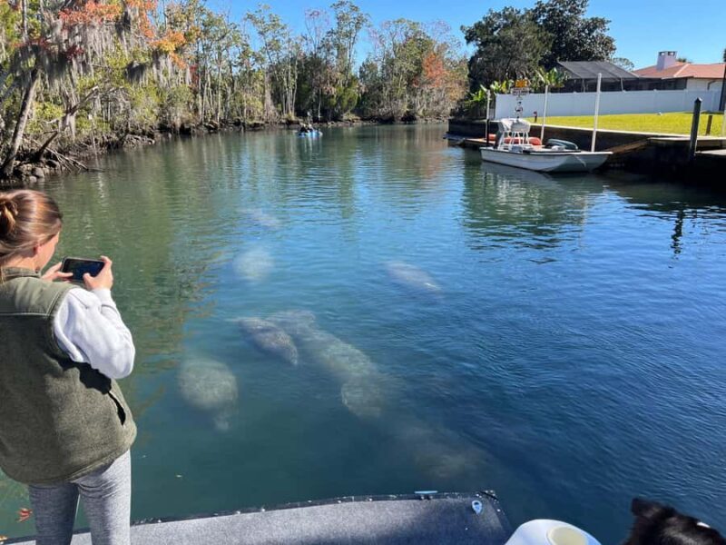 Crystal River: Manatee Eco-Tour Boat Ride - The Sum Up