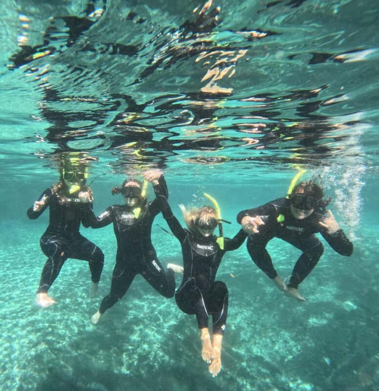Crystal River: Manatee In-Water Snorkel Tour - What Makes This Tour Stand Out?