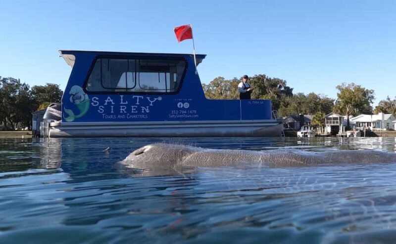 Crystal River: Manatee In-Water Snorkel Tour - Pricing and Value Analysis