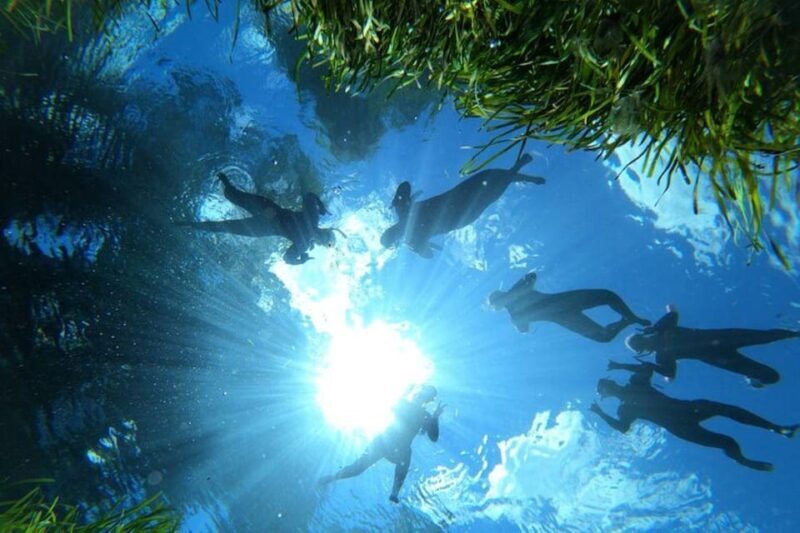 Crystal River: Manatee Snorkel with In-Water Guide - Is This Tour Right for You?
