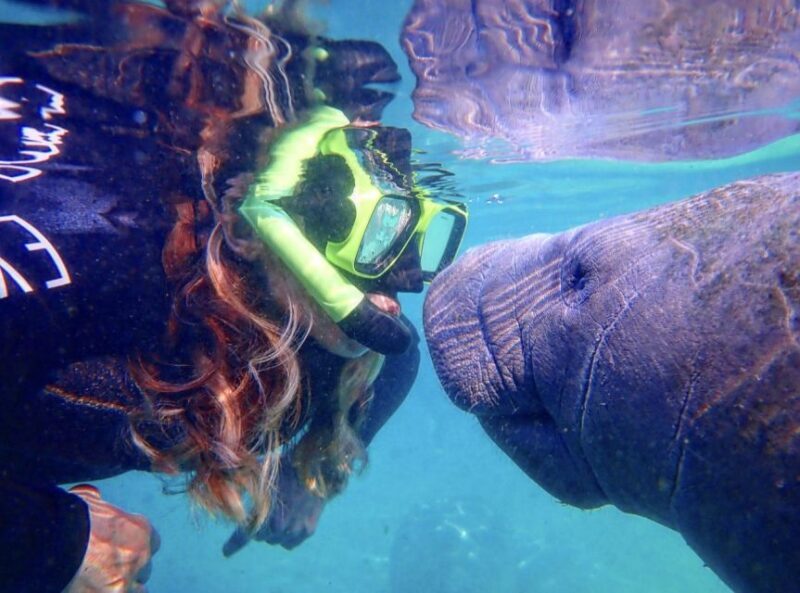 Crystal River: Manatee Swim Group Tour - An In-Depth Look at the Tour Experience
