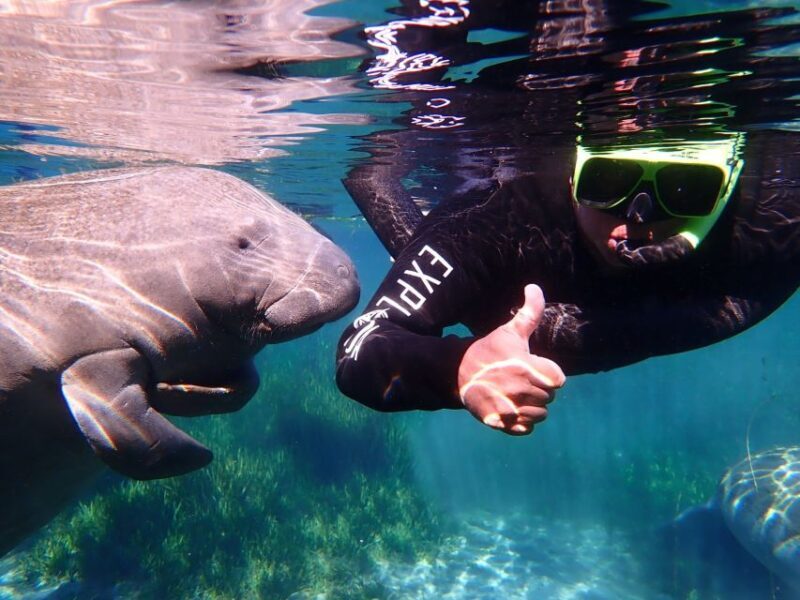 Crystal River: Manatee Swim Group Tour - Final Thoughts