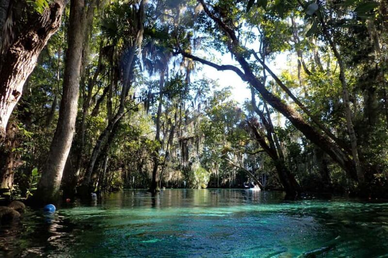 Crystal River: Manatee Swim Small Group, VIP or Private Tour - FAQ