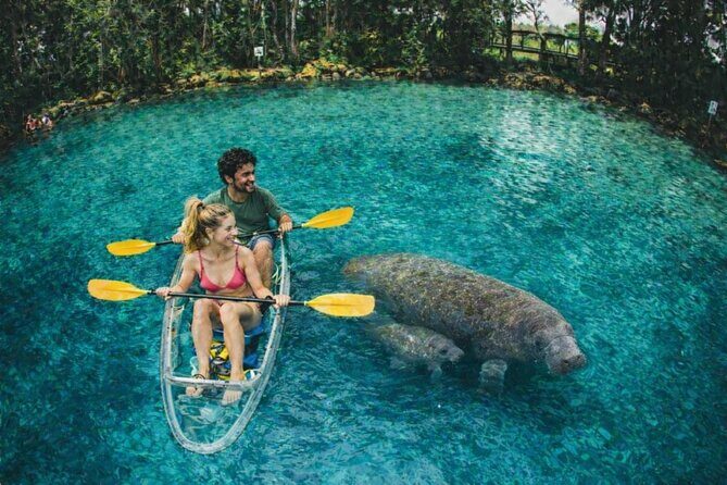 Crystal River Manatee Swim Tour Choose Your Kayak Paddleboard - Key Points