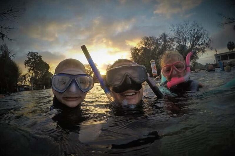 Crystal River: Manatee Swim Tour - Key Points
