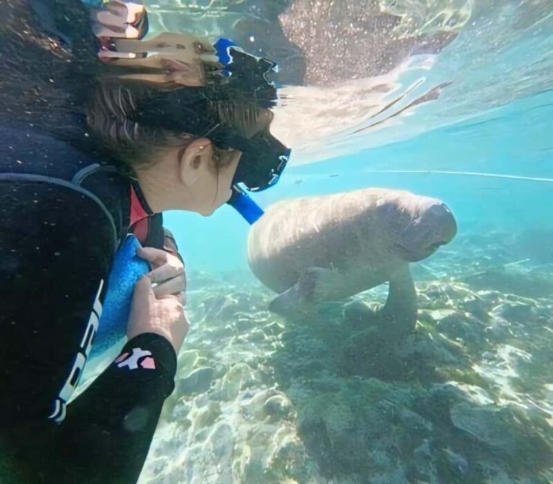 Crystal River: Semi-Private Manatee Swim With Heated Boat - FAQs