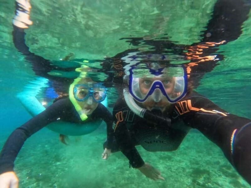 Crystal River: Small-Group Manatee Snorkeling Tour - What Makes This Tour Stand Out?