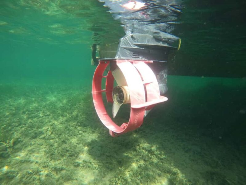 Crystal River: Small-Group Manatee Snorkeling Tour - FAQ
