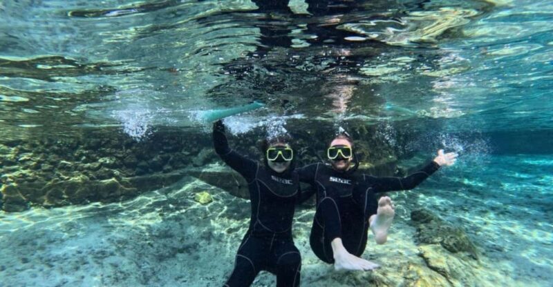 Crystal River: Springs Snorkeling Tour - Exploring the Tour Experience in Detail