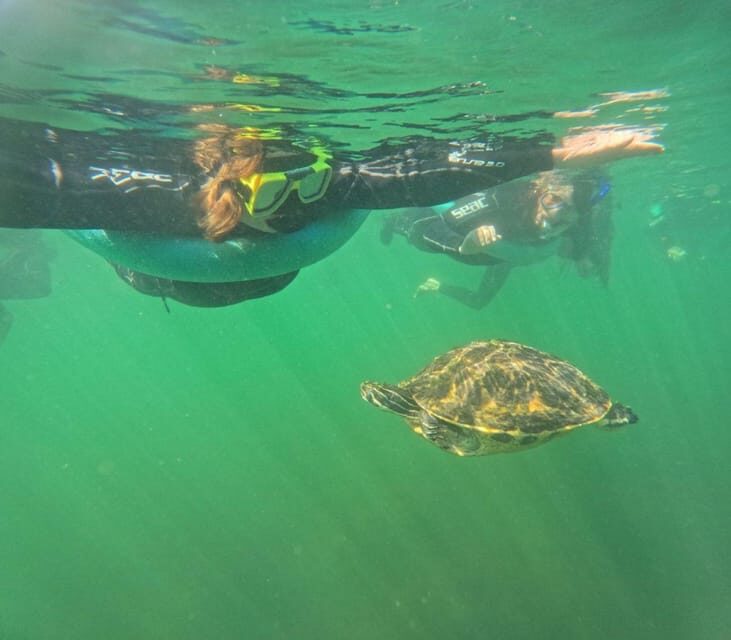 Crystal River: Springs Snorkeling Tour - Who Is This Tour Best For?