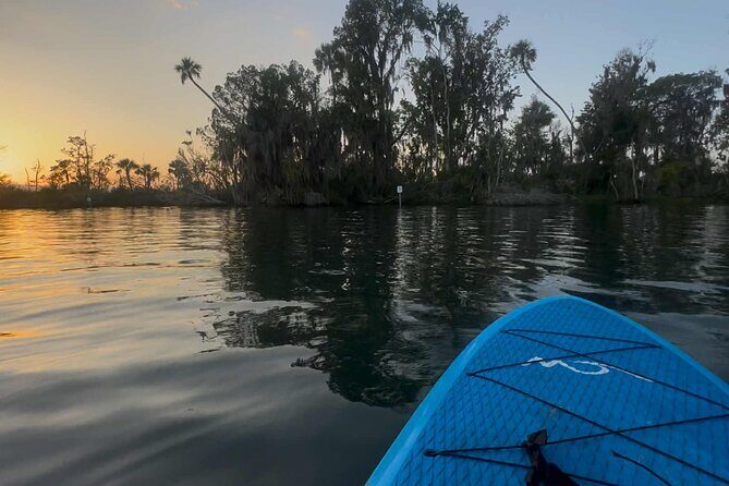 Crystal River Sunrise Manatee Clear Kayak Tour - Key Points