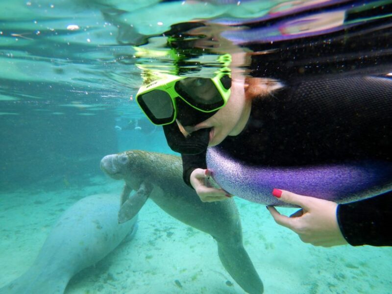 Crystal River: VIP Manatee Swim w/ In-water Photographer - The Experience Breakdown: What to Expect