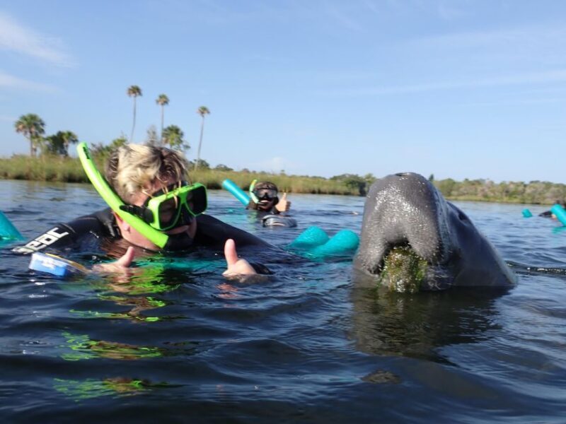 Crystal River: VIP Manatee Swim w/ In-water Photographer - The Sum Up