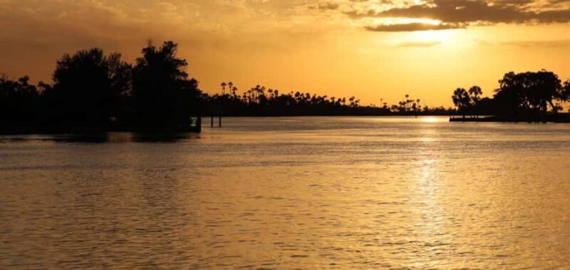 Crystal River: Wildlife Boat Tour with Naturalist Guide - Key Points