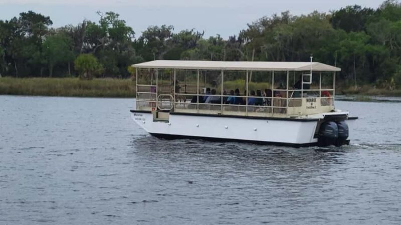 Crystal River: Wildlife Boat Tour with Naturalist Guide - What to Expect on the Tour