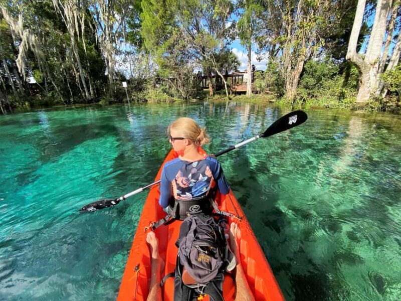 Crystal River:Three Sisters Springs Guided Kayak & Swim Tour - Wildlife and Environmental Respect