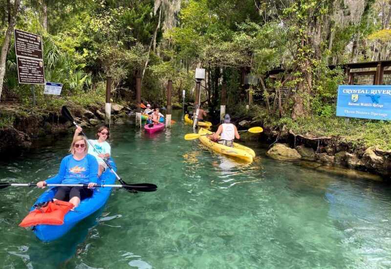 Crystal River:Three Sisters Springs Guided Kayak & Swim Tour - Return Paddle and Post-Tour Options