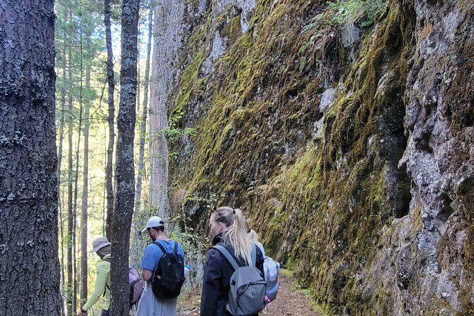 Cuajimoloyas Private Hiking Bushwalking Oaxaca Adventure - The Itinerary and What You Can Expect