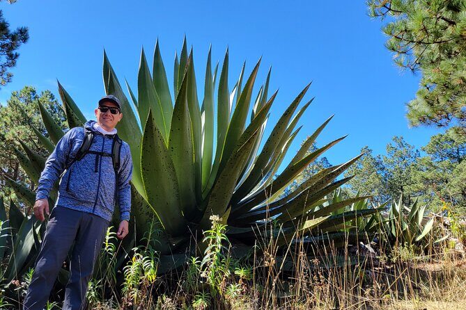 Cuajimoloyas Private Hiking Bushwalking Oaxaca Adventure - Practical Considerations