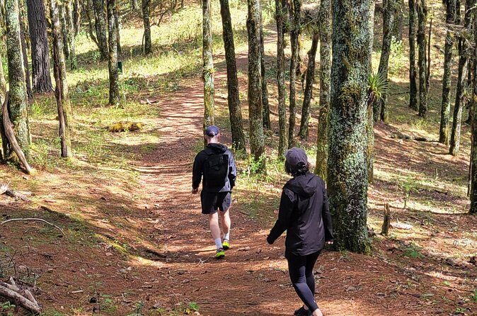 Cuajimoloyas Private Hiking Bushwalking Oaxaca Adventure - The Sum Up