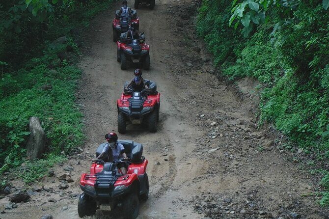 Cuale River ATV Jungle Adventure - Analyzing Value and Practicalities