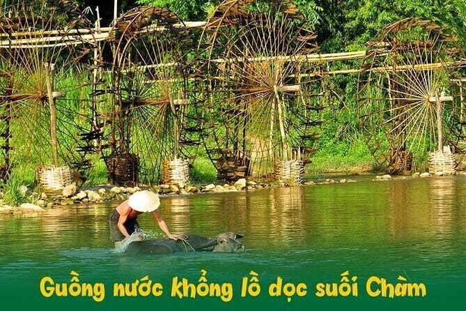 Cuc Phuong National Park and Bear Sanctuary Full Day Tour - FAQs