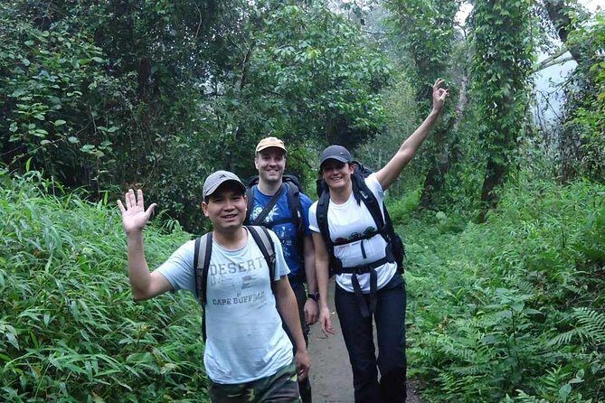 Cuc Phuong National Park - Ninh Binh - Authentic Insights from Past Experience