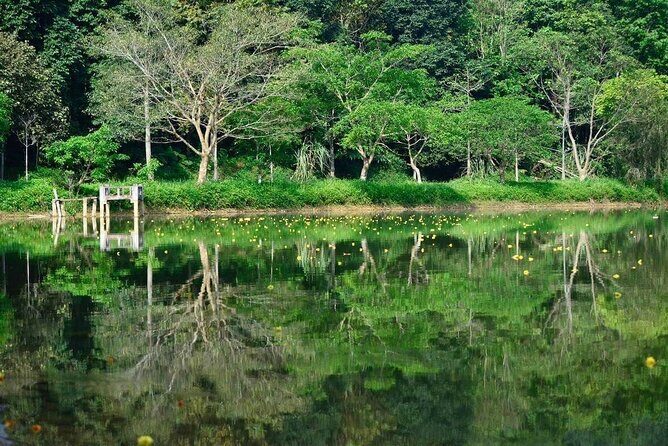 Cuc Phuong National Park Private Day Tour: Trekking & Primates - Value and Practical Tips