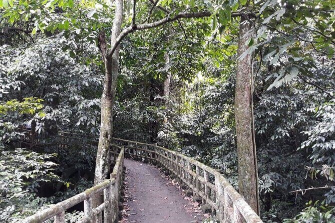 Cuc Phuong National Park Trekking: Private Day Tour From Hanoi - Who is this tour best for?