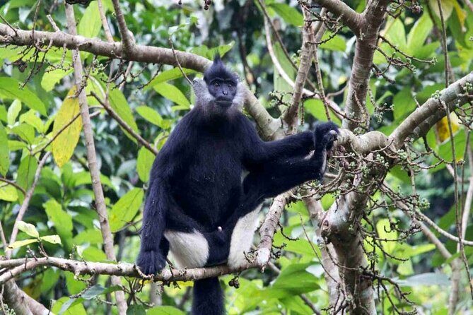 Cuc Phuong National Park Trekking: Private Day Tour From Hanoi - Final Thoughts