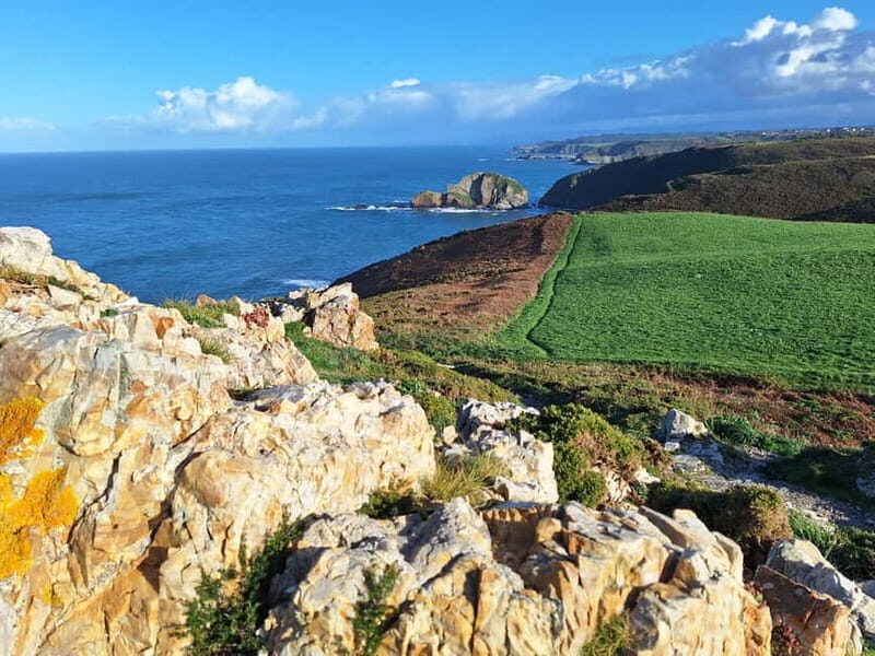 Cudillero, Aviles and Faro de Cabo Peñas tour from Oviedo - Key Points