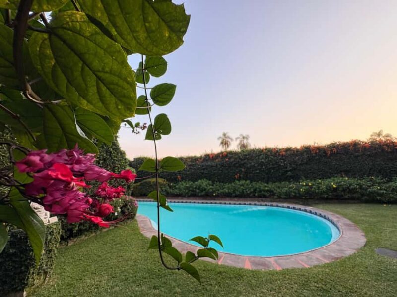 Cuernavaca: Diego Rivera and Frida Kahlo Tour - Key Points