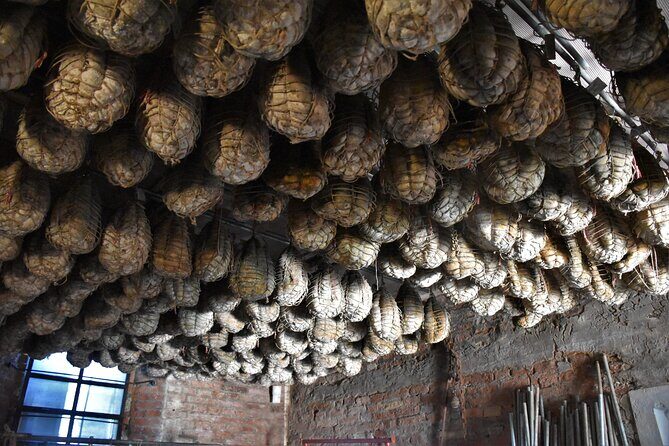 Culatello and Parmigiano: Private half-day tour in Parma - An In-Depth Look at the Tour