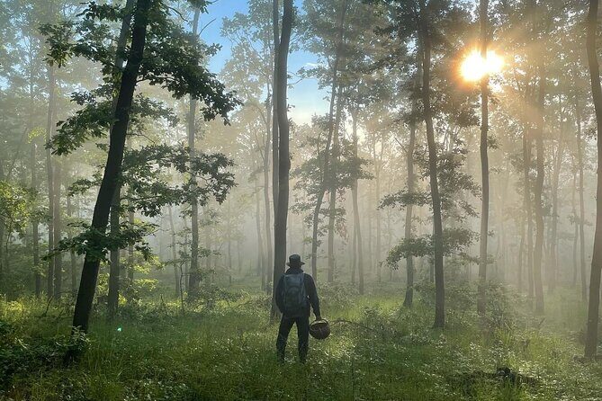 Culinary Adventure To The Fungi And Botanical Kingdom Of Bulgaria - Key Points