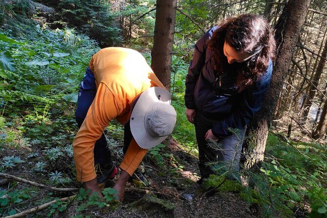 Culinary Adventure To The Fungi And Botanical Kingdom Of Bulgaria - Transportation, Time, and Group Size