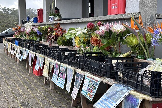 Culinary "Food & (E) Bike" Tour - A Closer Look at the Madeira Culinary "Food & (E) Bike" Tour